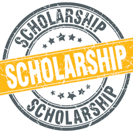 IMDPA Scholarships - IMDPA